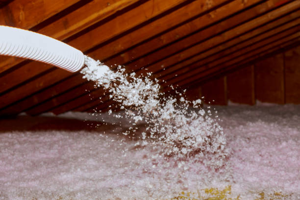Best Types of Insulation in Cloverdale, CA